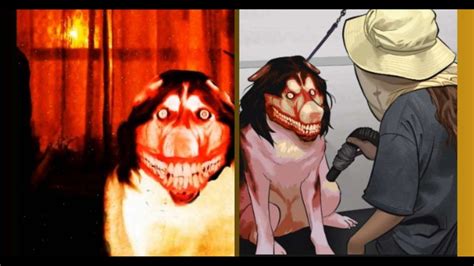 Smile Dog Information