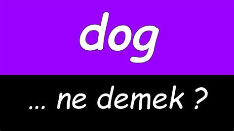 Smile Dog Ne Demek