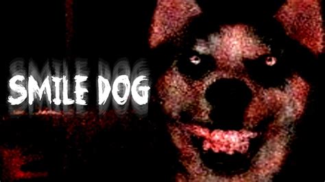 Smile Dog On Youtube