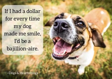 Smile Dog Quotev