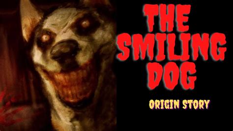 Smile Dog Real Story