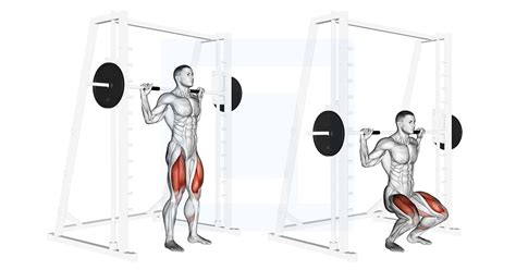 Smith Machine Squat
