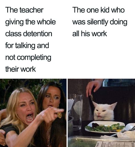 Smudge Cat Meme With Woman