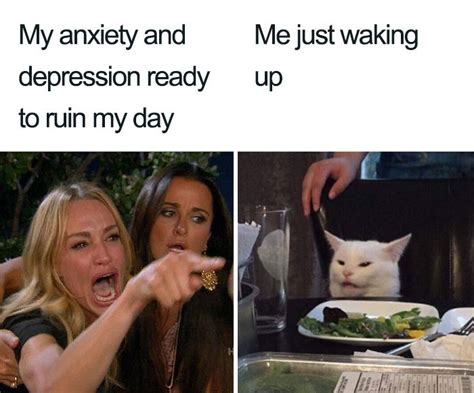 Smudge Famous Cat Meme