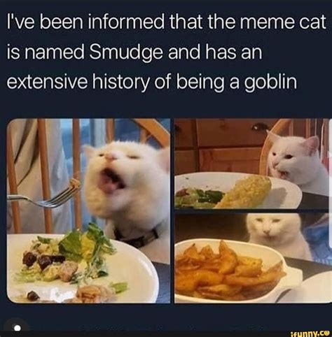 Smudge Goblin Cat Meme