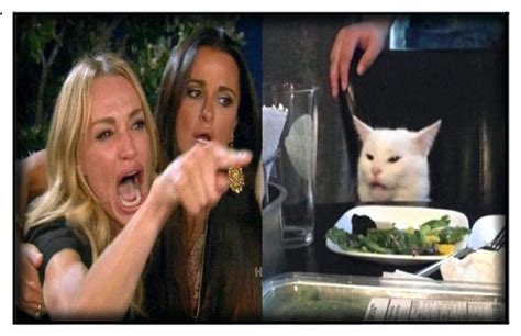 Smudge Rhobh Cat Meme