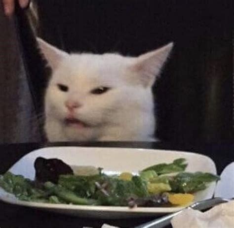 Smudge Table Cat Meme