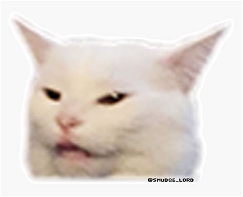 Smudge The Cat Meme Background