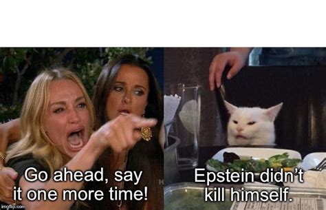 Smudge The Cat Meme Epstein
