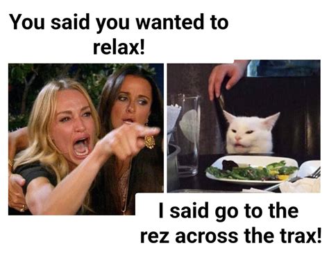 Smudge The Cat Meme Hood