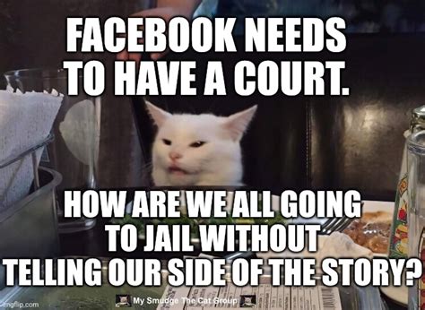 Smudge The Cat Meme Jail