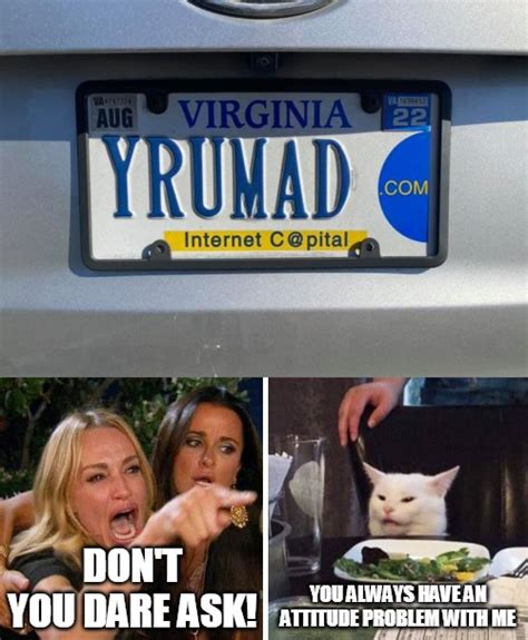 Smudge The Cat Meme License