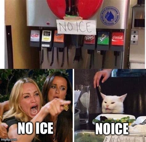 Smudge The Cat Meme No Ice