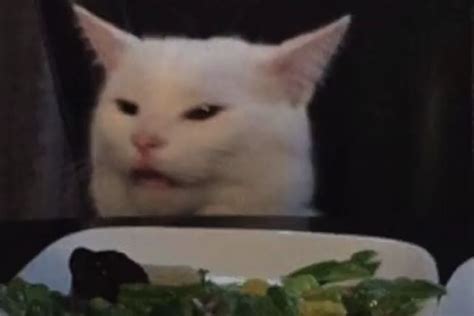 Smudge The Cat Meme Pronunciation