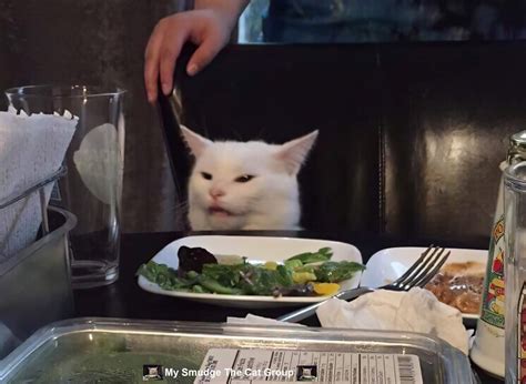 Smudge The Cat Meme Template Hd