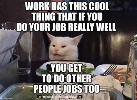 Smudge The Cat Meme Work