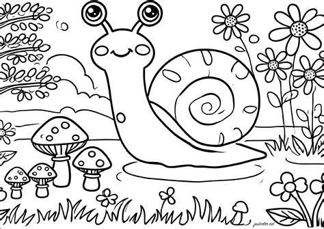 Snail Coloring Pages