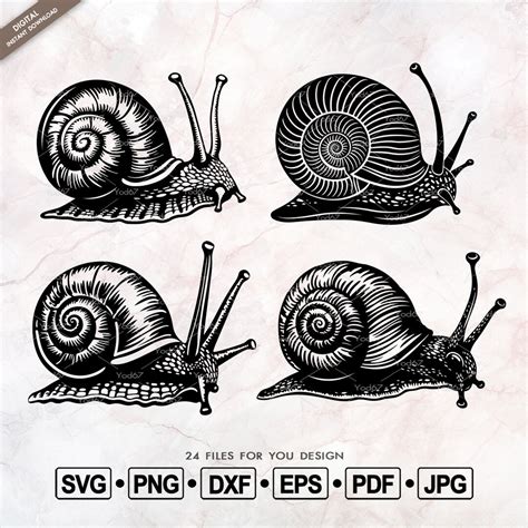 Download Snail Paper Cut Design For Silhouette