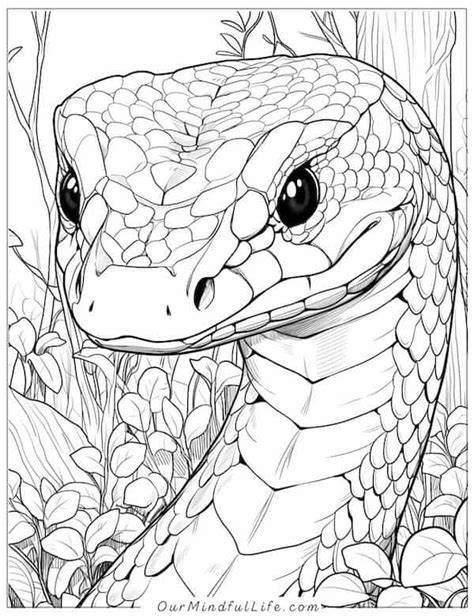 Snake Coloring Pages Realistic