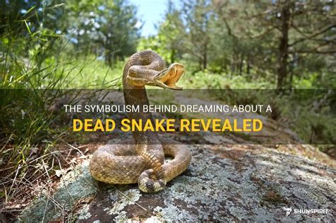 The Chilling Reality of a Lifeless Serpent: Exploring the Dark Symbolism in a Dream's Snake Death