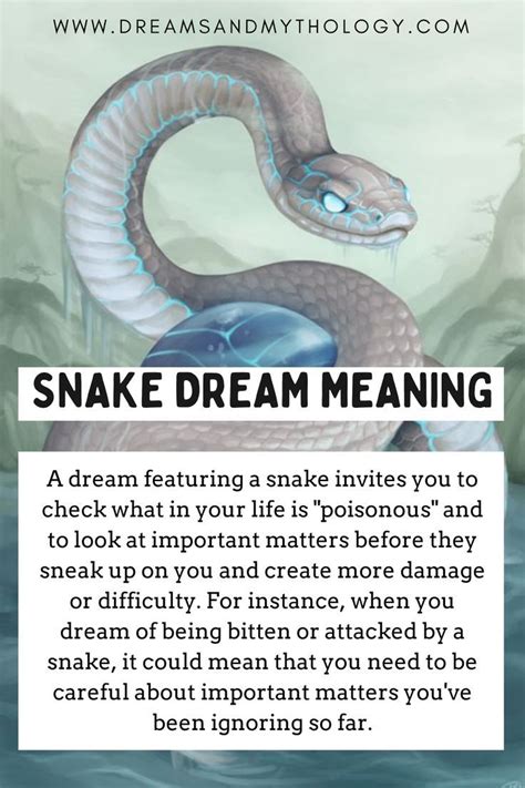 Snake In Dream Meaning