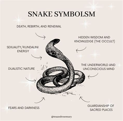 Snake Meaning Tattoo