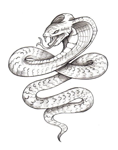 Snake Tattoo Outlines