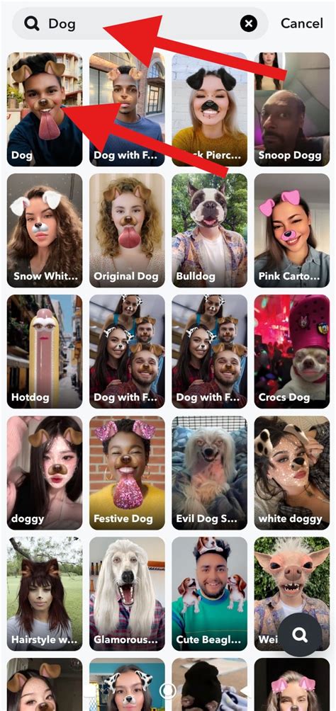 Snapchat Dog Filter Meme
