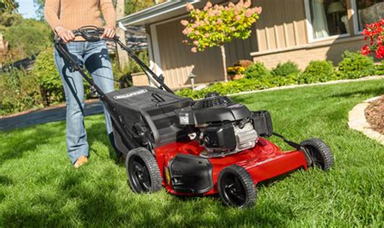 Discover the Secrets to Finding the Best Snapper Dealer Near You for Your Lawn Mowing Needs