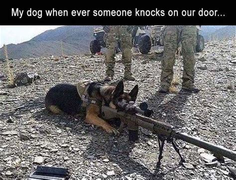 Sniper Dog Meme