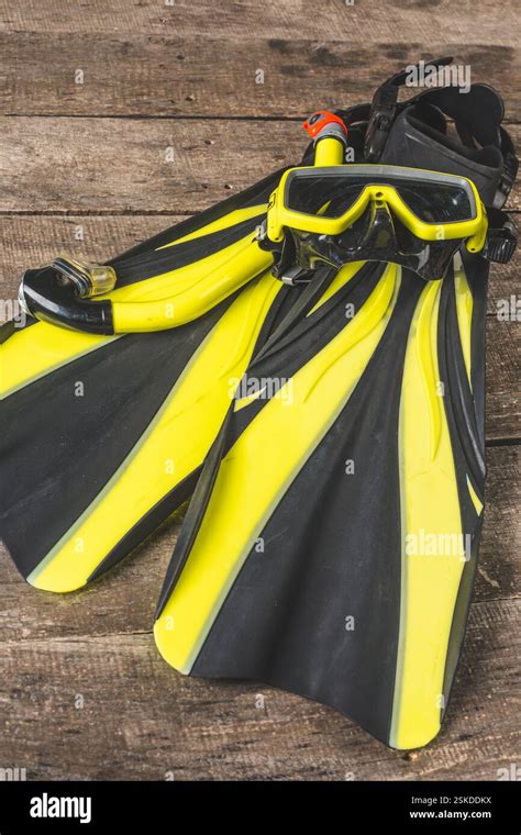 Snorkeling Adventure Preparation
