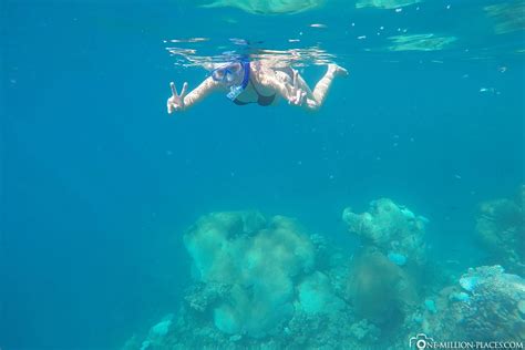 Snorkeling Beachcomber Island