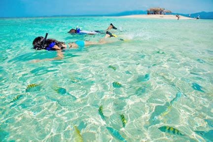 Snorkeling Cayo Arena