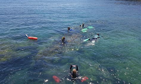 Snorkeling Conditions