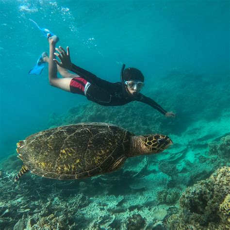 Snorkeling Excursion