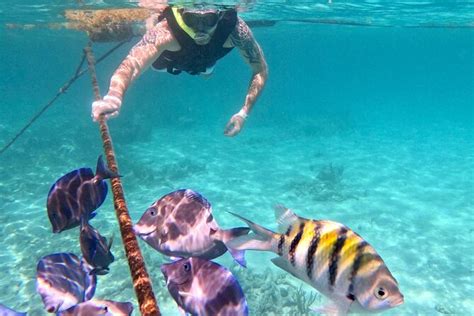 Snorkeling Expectations