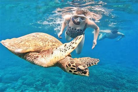 Snorkeling Gilis Layar