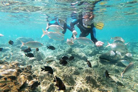 Snorkeling Lobos Island