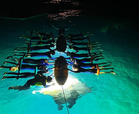 Snorkeling Night Tour
