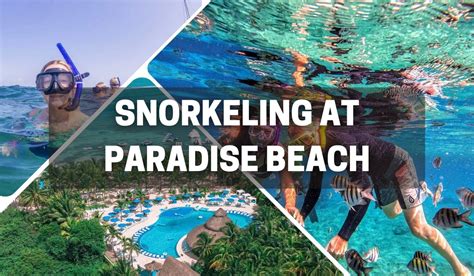 Snorkeling Paradise
