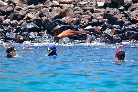 Snorkeling Playa Escondida