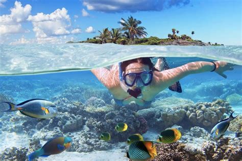 Snorkeling Questions