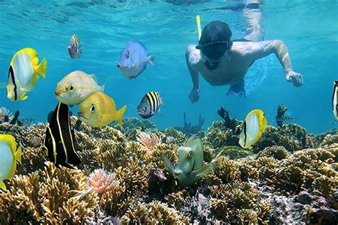 Snorkeling Roatan