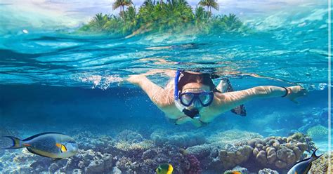 Snorkeling Sloths Review: Is it the Best Adventure Activity?