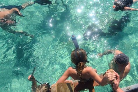 Snorkeling Sloths Review