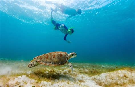 Snorkeling Sunbathing Greece