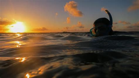 Snorkeling Sunset