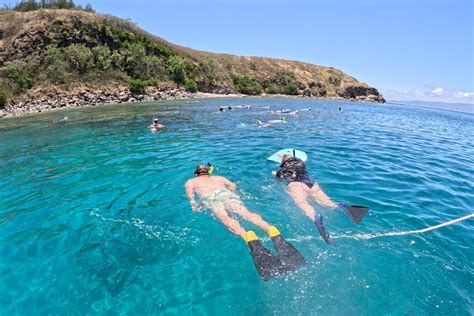 Snorkeling Tips Maui