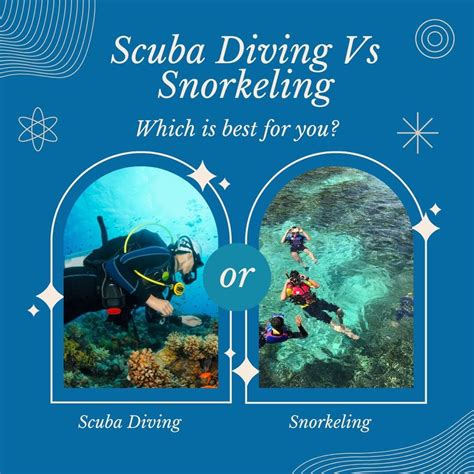 Snorkeling Tour Comparison