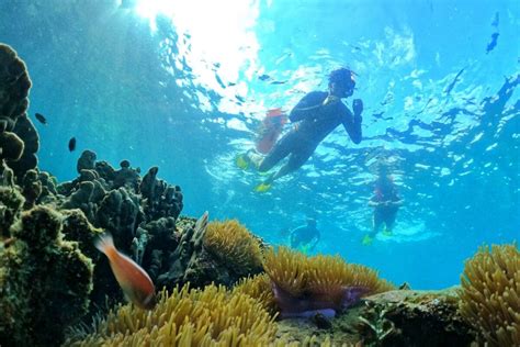 Snorkeling Tour Price